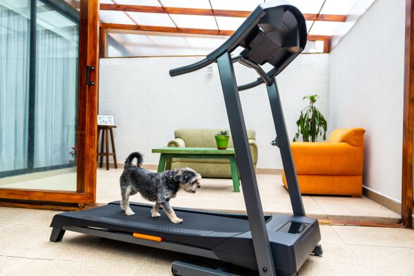 Treadmill Installation in San Luis Obispo