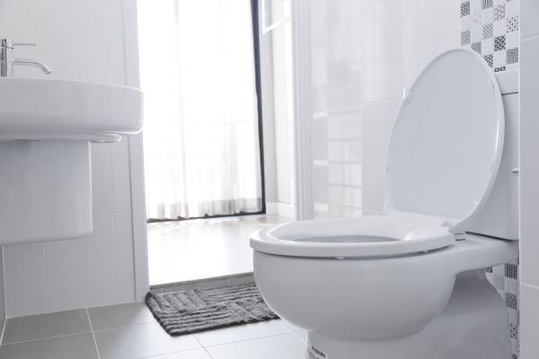 Toilet Seat Installation in San Luis Obispo