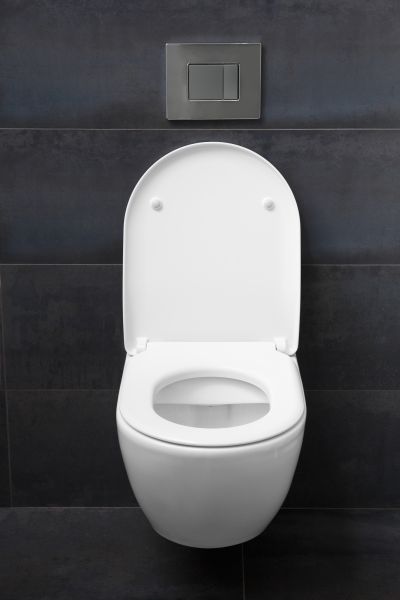 Toilet Lid Installation in San Luis Obispo