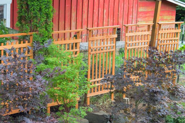 Wood Trellis Mounting in San Luis Obispo