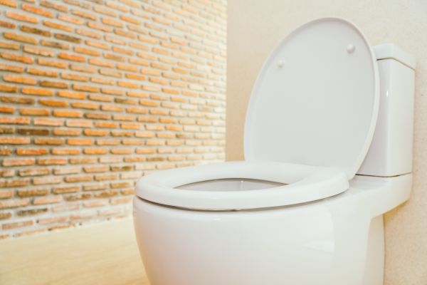 Toilet Seat Repair in San Luis Obispo